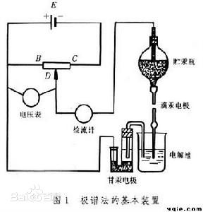 向日葵视频色版下载