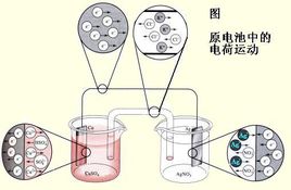 向日葵视频网站污厂家