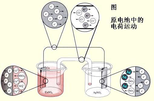 电化学向日葵视频色版下载