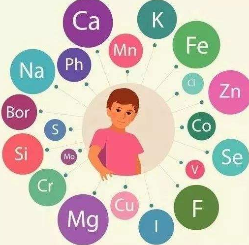 向日葵视频网站污厂家提醒补充微量元素的注意事项